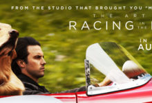 The Art of Racing in the Rain